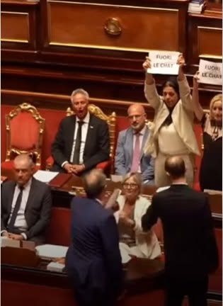 Aula parlamentare: una parlamentare dell'opposizione mostra il cartello "Fuori le chat"